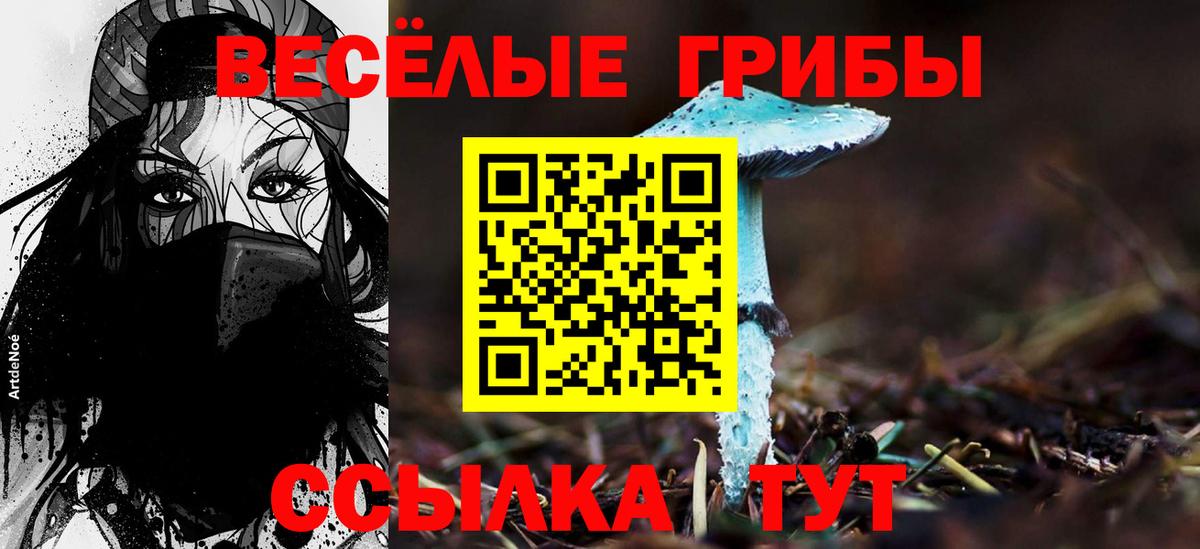 Псилоцибиновые грибы GOLDEN TEACHER  Вход с VPN  Балашиха 