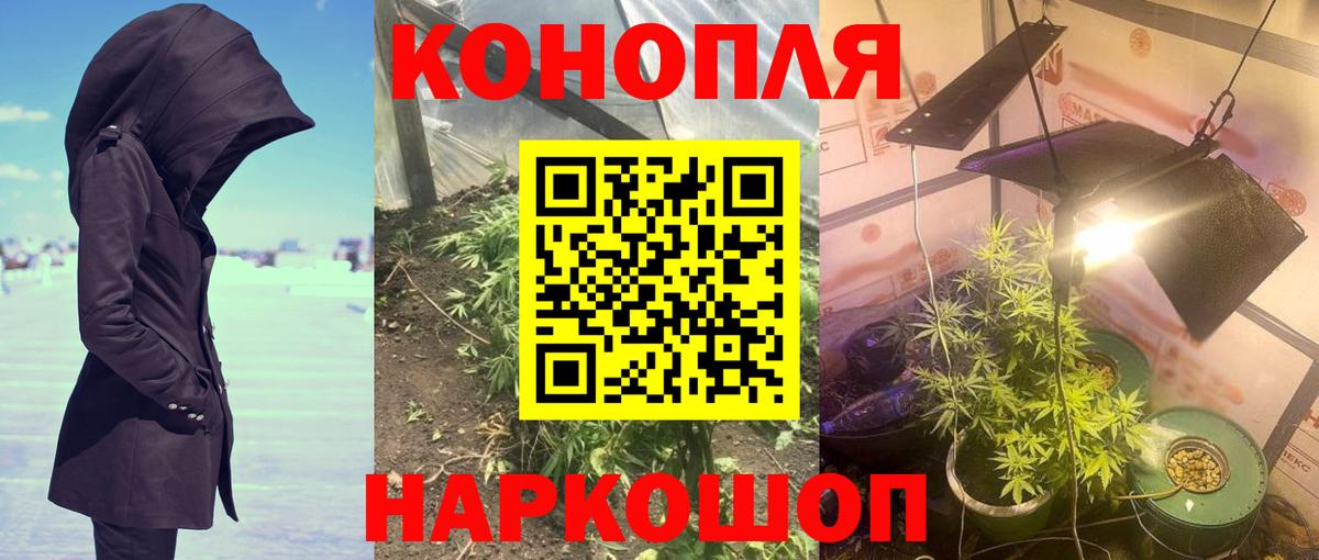 Балашиха  Бошки марихуана SATIVA & INDICA  МАРИХУАНА планчик  Шишки марихуана White Widow  Вход с VPN  Шишки марихуана конопля 